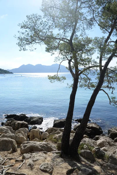 Pobřeží Moře Formentor Poloostrov Mallorca Formentor Baleárské Ostrovy Španělsko Pobřeží — Stock fotografie