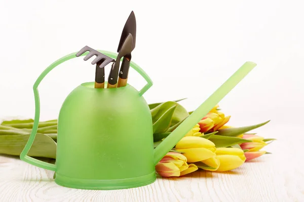 Outils Jardinage Arrosoir Fleurs Tulipes Fraîches Sont Posés Sur Une — Photo