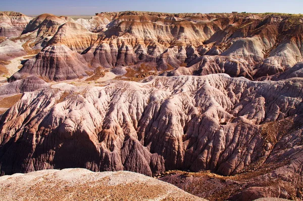 Landscape Blue Mesa Trail Petrified Forest National Park Arizona Usa — Stock Photo, Image