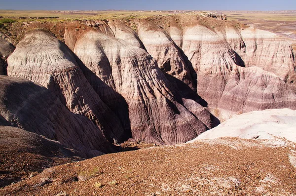 Landscape Blue Mesa Trail Petrified Forest National Park Arizona Usa — Stock Photo, Image