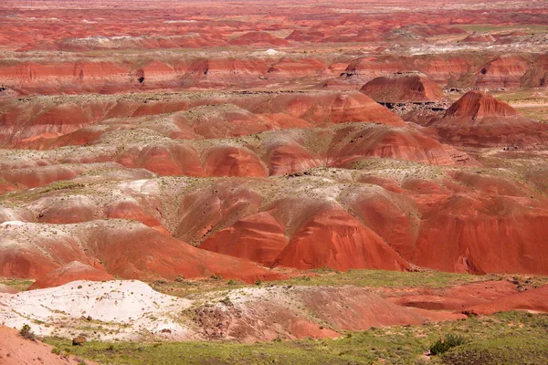 Abd Arizona Boyalı Çöl Manzarası — Stok fotoğraf