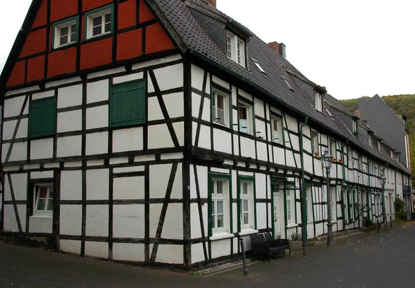 Langer Kader Hagen — Stockfoto