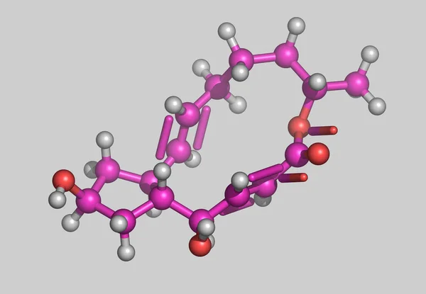 Gri Üzerine Izole Edilmiş Moleküler Model Brefeldin — Stok fotoğraf