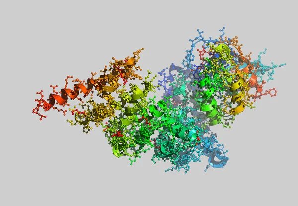 회색에서 모델인 단백질 — 스톡 사진