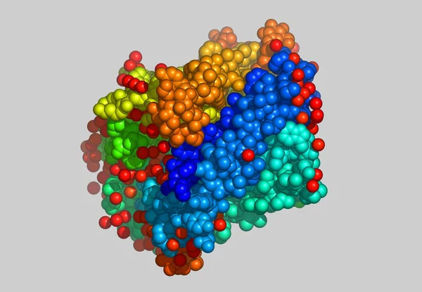 Protein Protein Molekül Modeli — Stok fotoğraf
