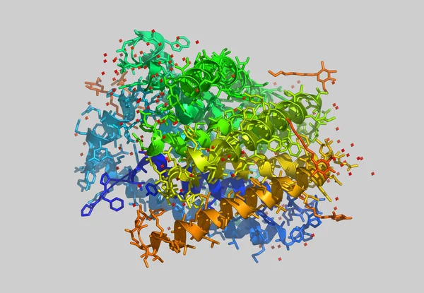 Protein Protein Molecule Model — Stock Photo, Image