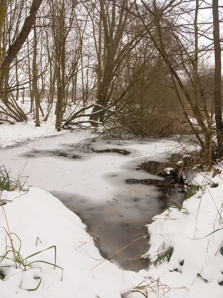 Frozen Lagoon Water Lake Surface Snow Woods Bare Trees — Stock Photo, Image