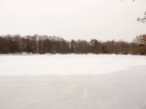 Congelado Sobre Lago Água Superior Superfície Branca Neve Inverno Árvores — Fotografia de Stock