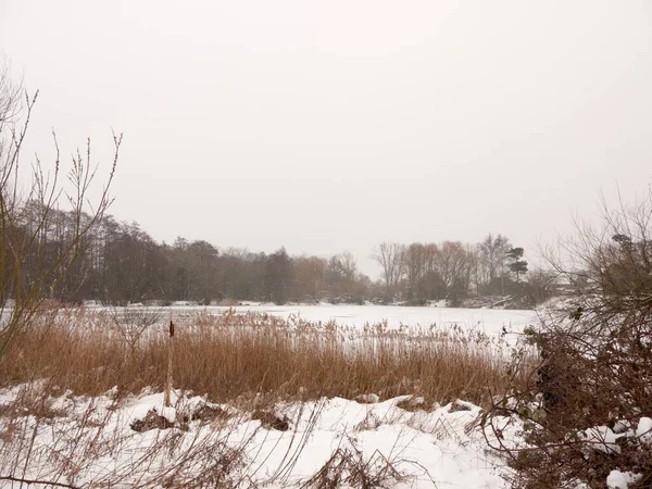 Congelado Sobre Lago Fuera Invierno Naturaleza Cielo Blanco Árboles Desnudos — Foto de Stock