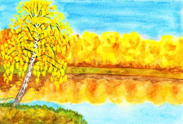 Hand painted picture, watercolours, autumn landscape - golden birch near lake with golden forest. Size of original 27 x 19 sm.