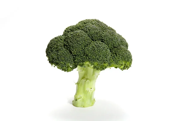 Een Broccoli Een Witte Achtergrond Metafoor Van Een Boom — Stockfoto