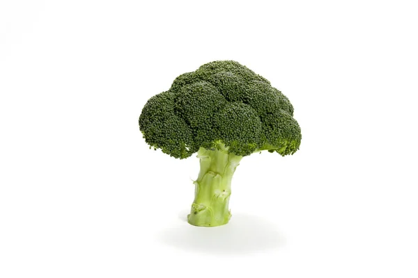 Ein Brokkoli Auf Weißem Hintergrund Metapher Eines Baumes — Stockfoto