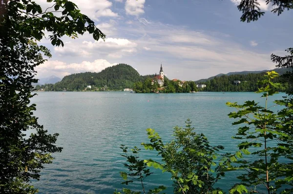 Slovenia Lake Island Forest Water Church — стоковое фото