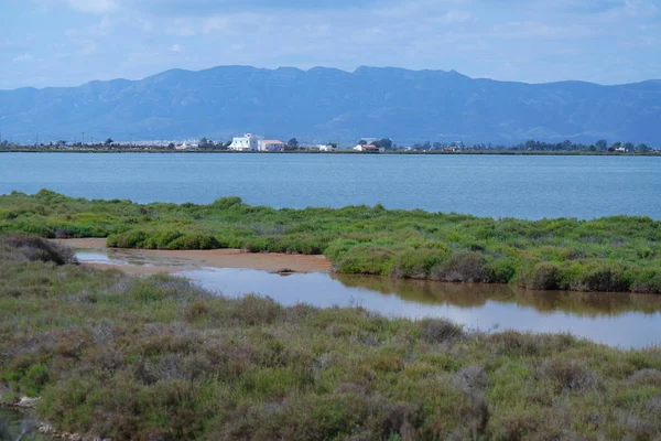 Parque Natural Delta Del Ebro — Foto de Stock