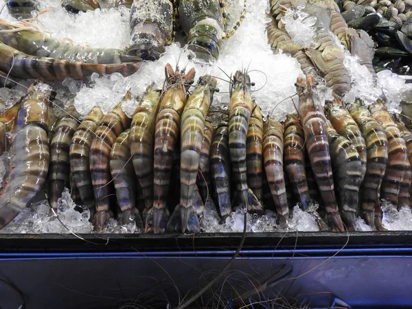 Gamberetti Aragoste Gamberi Vongole Calamari Mercato Tailandese — Foto Stock