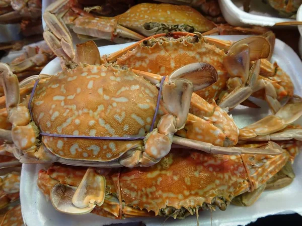 Креветки Омары Раки Моллюски Кальмары Тайском Рынке — стоковое фото