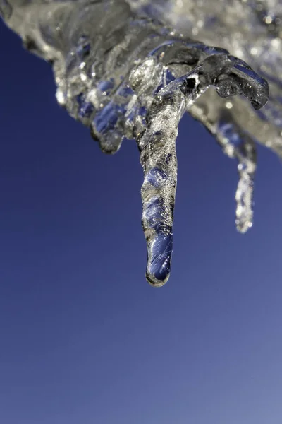Course Beautiful Transparent Icicles Look Hand Clear Winter Day Winter — Stock Photo, Image