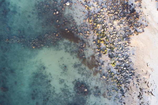 타이의 과바다의 — 스톡 사진