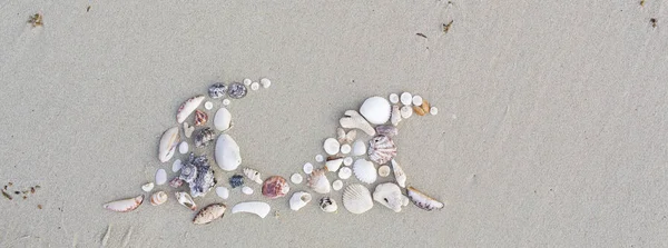 Wellen Aus Muscheln Einem Schönen Strand Thailand Koh Samui — Stockfoto