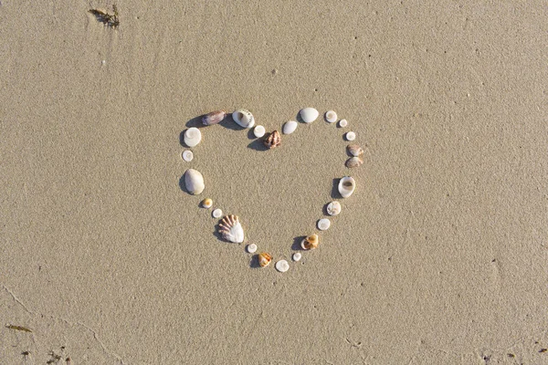 Corazón Forma Conchas Encuentra Una Playa Arena Koh Samui — Foto de Stock