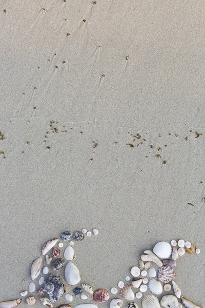 Волны Образованные Раковин Красивом Пляже Таиланде Самуи Koh Samui — стоковое фото