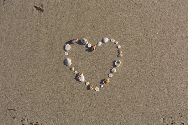 Corazón Forma Conchas Encuentra Una Playa Arena Koh Samui — Foto de Stock