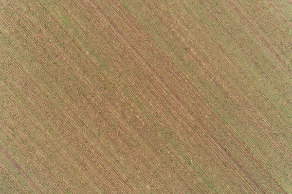 Terres Agricoles Hiver Une Vue Vol Oiseau — Photo