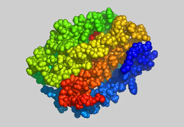 Proteina Modello Della Molecola Della Proteina — Foto Stock