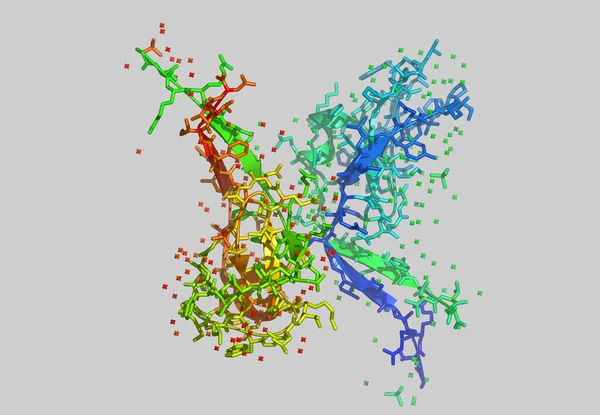 蛋白质 蛋白质分子模型 — 图库照片