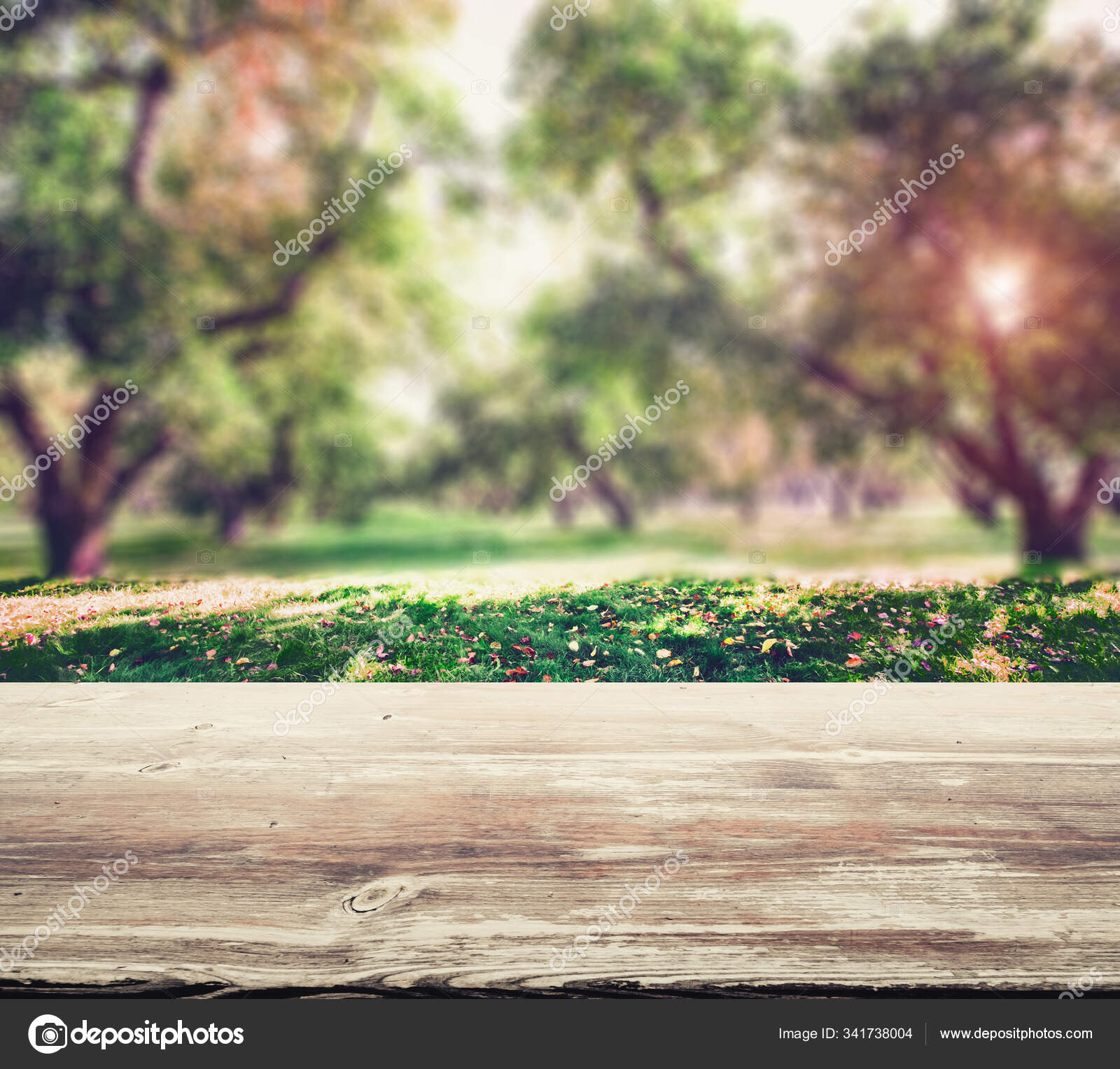 Nature 2024 blur background