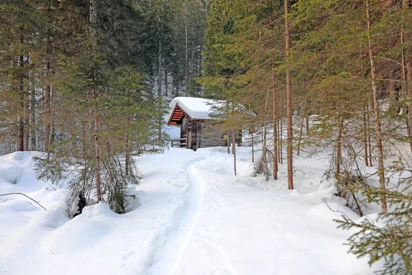 Hütte Winterwald Großglocknermassiv — Stockfoto