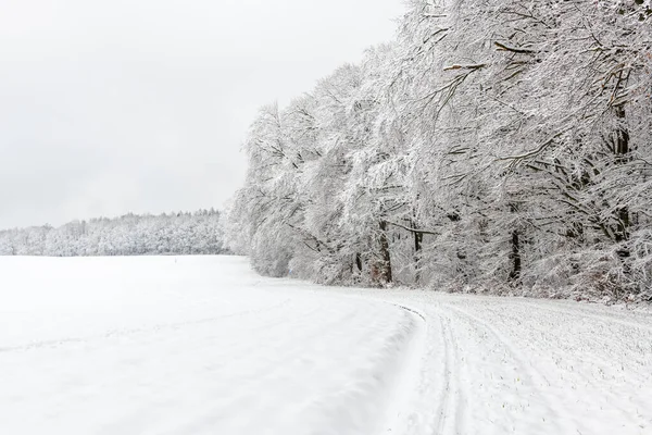 Vägen Genom Ett Snöigt Landskap Mellan Skog Och Fält — Stockfoto