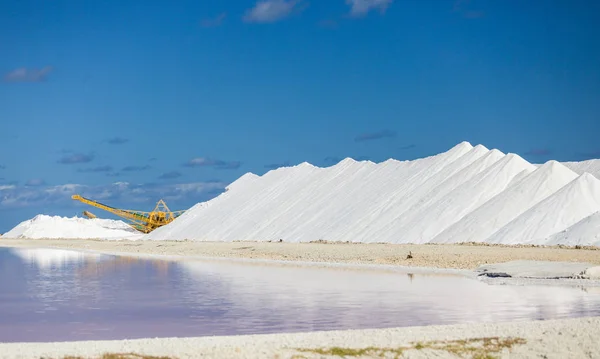 Venta Apartamentos Bonaire Antillas Terrestres Pirámides Salinas Agua Roja Altamente — Foto de Stock