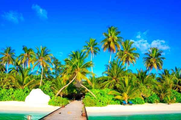 Escape Dreamscape Maldivas — Fotografia de Stock