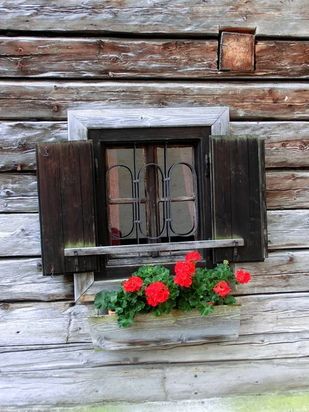 Rollladen Mit Blumenkasten — Stockfoto