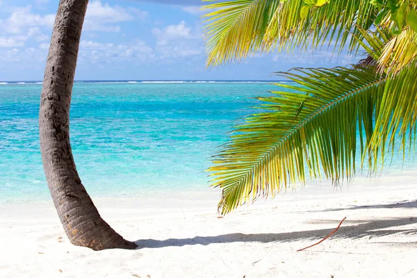 Vakantie Paradijs Het Strand — Stockfoto