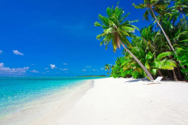 Vakantie Paradijs Het Strand — Stockfoto