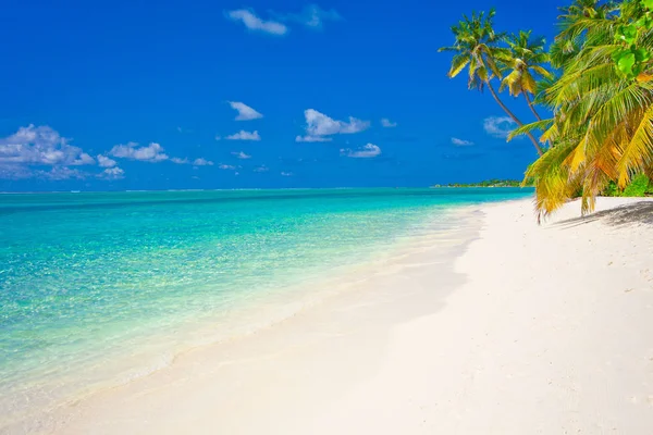 Paraíso Vacacional Playa — Foto de Stock