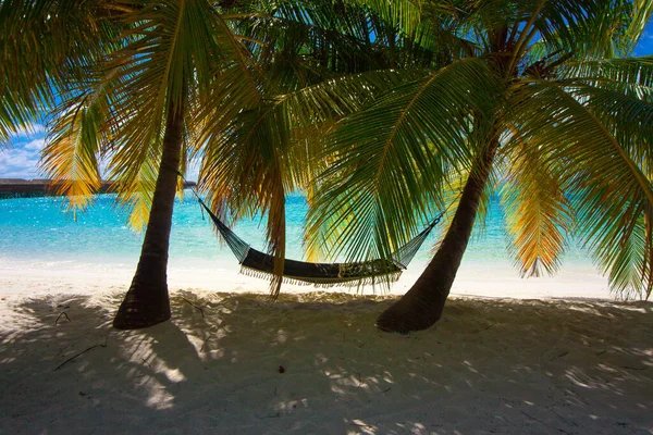 Paradiso Delle Vacanze Spiaggia — Foto Stock