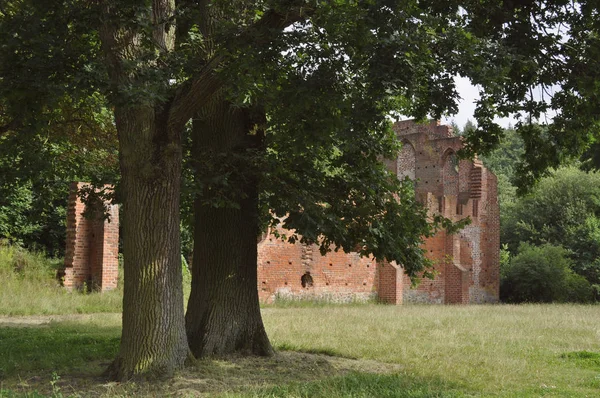 Kloster Ruiner Boitzenburg Meckenburg Vorpommern Med Träd — Stockfoto