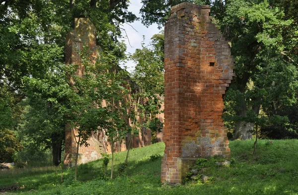 Monastery Ruins Boitzenburg Meckenburg Vorpommern Trees — Stock Photo, Image