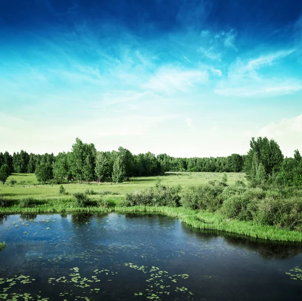 Prairie Champ Été Plein Air Beau Paysage — Photo