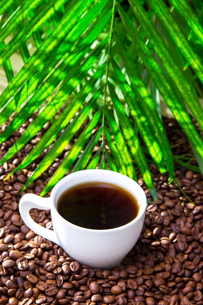 Café Para Todos Fundo Close — Fotografia de Stock