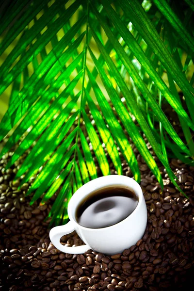 Coffee All Background Close — Stock Photo, Image