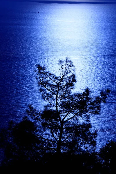 海に沈む夕日 — ストック写真