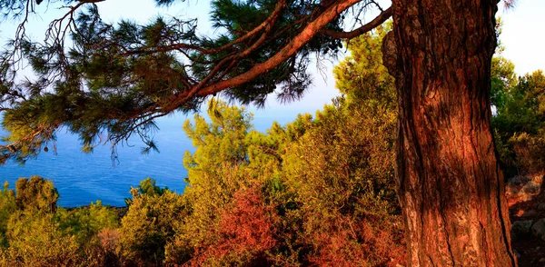 Vista Panorámica Del Paisaje Marino Antalya —  Fotos de Stock