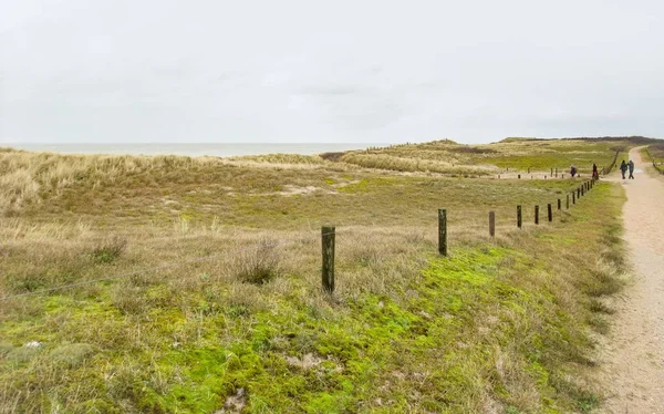 Paisaje Costero Cubierto Con Sendero Mar Del Norte Cerca Domburg —  Fotos de Stock