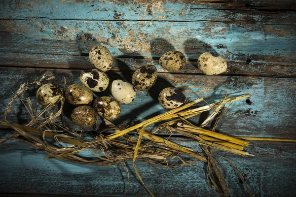 Huevos Codorniz Nido Sobre Fondo Madera —  Fotos de Stock