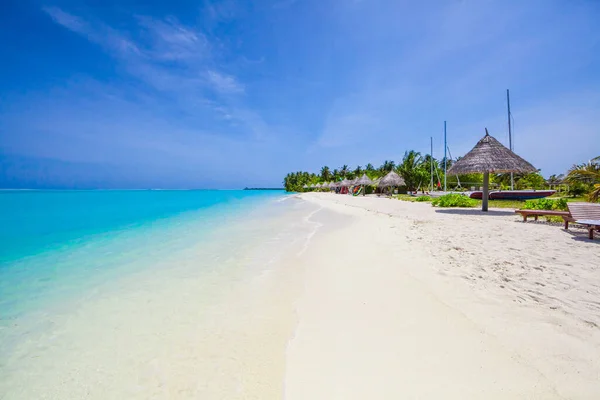 Palmeiras Praia Tropical Nas Maldivas — Fotografia de Stock