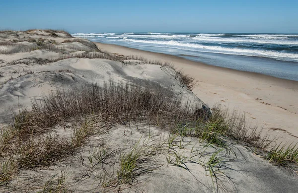 Stora Sanddyner Med Utsikt Över Stranden Vid Cape Hatteras National — Stockfoto